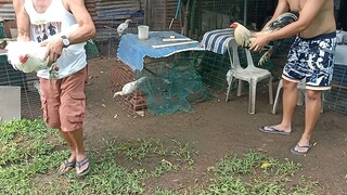 practice ng pang hack fight sa July