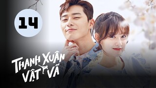 Tập 14 - Lồng Tiếng| Thanh Xuân Vật Vã - Fight for My Way (Park Seo Jun, Kim Ji Won).