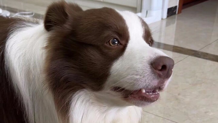 น้องปลาตื่นแล้ว! ถึงเวลาไปทำงานแล้ว!