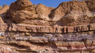 Rock Layers and Fossils Prove a Worldwide Flood