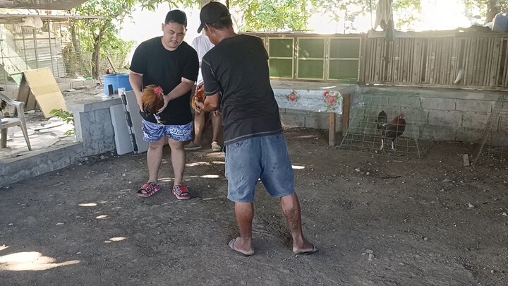 Both 7mos - Lambingan lang po