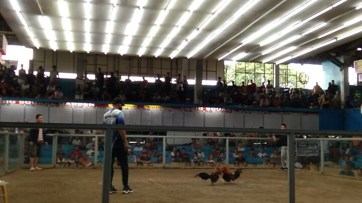 JMJ8 Red 8Months At Pasig Square Great Timing and Cutting.