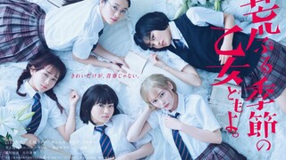 你懂得青春美少女的纯爱吗?《骚动时节的少女们啊》