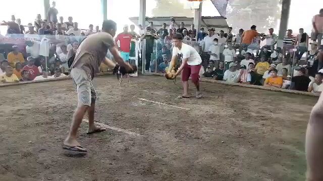 sayang tumabla pa naka isang tuka lang samin