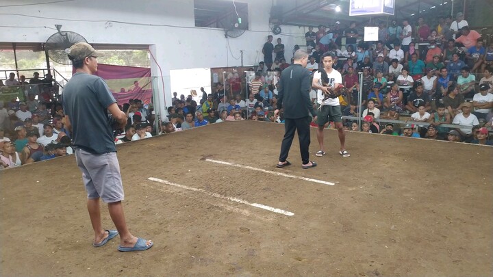 First Fight Hennie. Win(Right Side)