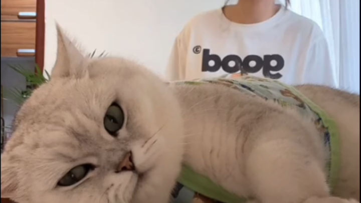 Đưa con đến trường nghệ thuật đi, đừng để phí mất cơ hội!