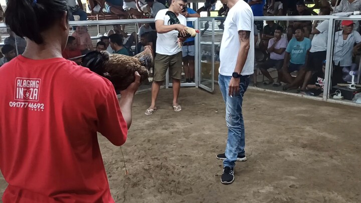 #SMALLBUTTERIBLE 1ST FIGHT CHAMPION