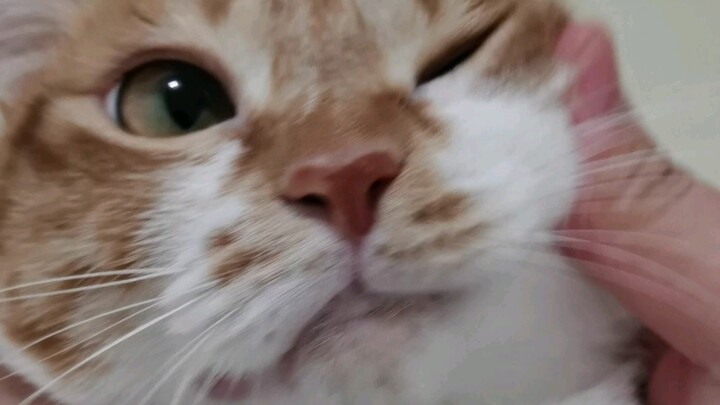 Mandi air panas sampai wajah jadi lumpuh, semuanya ambil pelajaran dari saya!