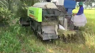 Máy Cắt Lúa KUBOTA DC 70 l Độ Tem Xanh l Máy Gặt Đập Liên Hợp