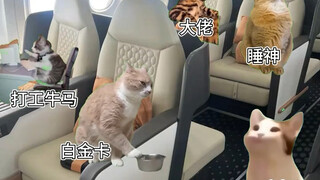 飞机餐的尴尬，空姐称泡面就是噩梦？