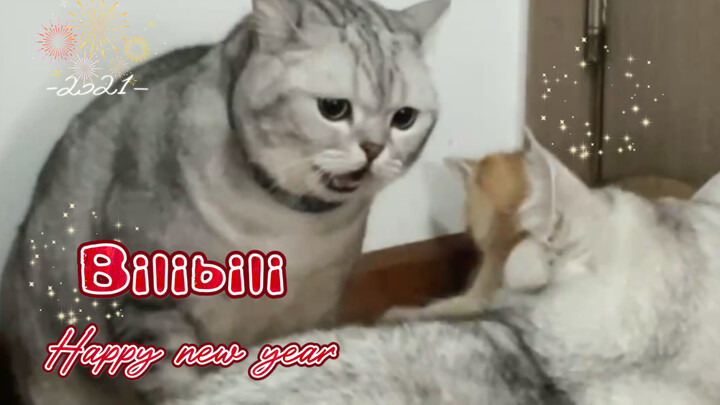 Chú Chú có vẻ không mấy hài lòng với bản tổng kết cuối năm này, đoạn kết còn có một món quà bất ngờ!