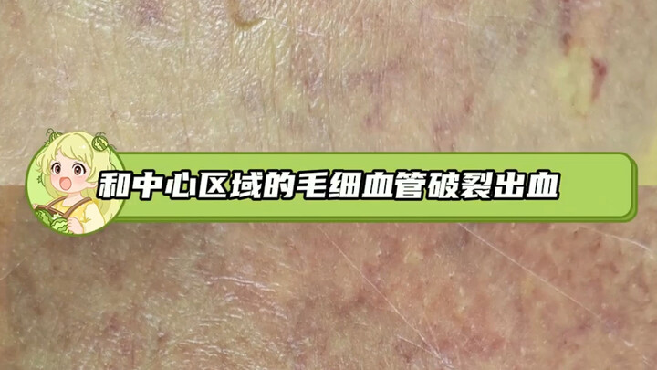 บุคลากรระดับสุดยอดแห่งวงการเบเกอรี่