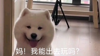 "Aku bahkan tidak punya senyum anjing semanis senyumku!!!"