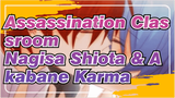 Assassination Classroom
Nagisa Shiota & Akabane Karma
