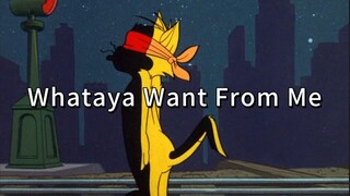 Whataya Want From Me