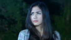 411 Ganteng Ganteng Serigala