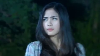 411 Ganteng Ganteng Serigala