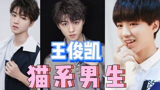 الفتى القط: وانغ جونكاي