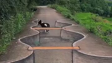 THE_MOST_REALISTIC_3D_PAINTING☠️🤯_#shorts_#viralvideo