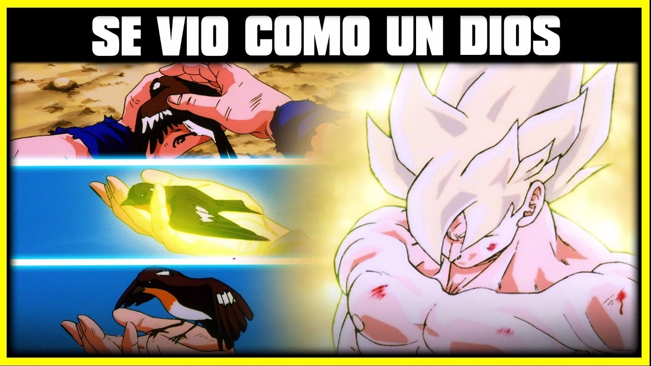 TODAS LAS VECES QUE GOKU SE VIO COMO UN VERDADERO DIOS | DRAGON BALL SUPER | Z | GT | ANZU361 - Bilibili TODAS LAS VECES QUE GOKU SE VIO COMO UN VERDADERO DIOS | DRAGON BALL SUPER | Z | GT | ANZU361 - Bilibili