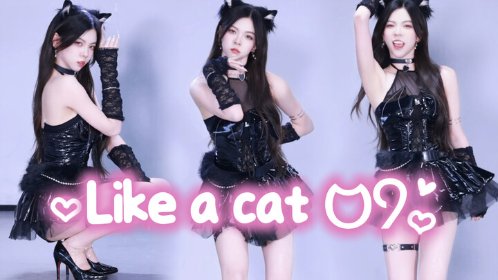 [AOA - Catwalk Cutie] Can’t understand? Feeling stressed like a little kitty?
