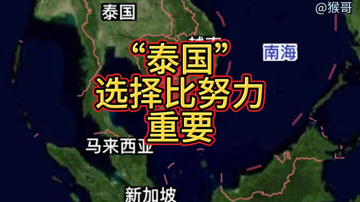 الاختيار في "تاي" أهم من الجهد.