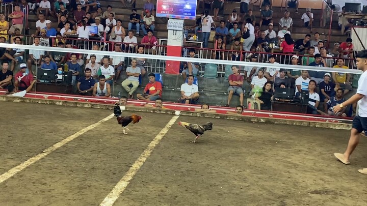 2 hits ulutan first fight Lose @ Taal Coliseum