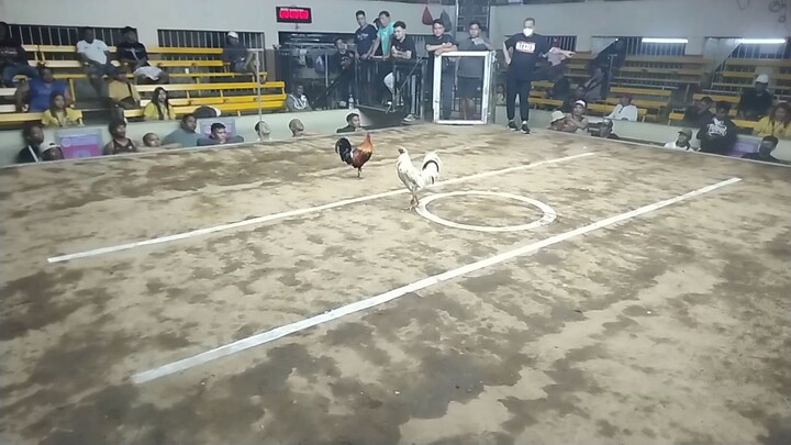 panget pero my talent😈