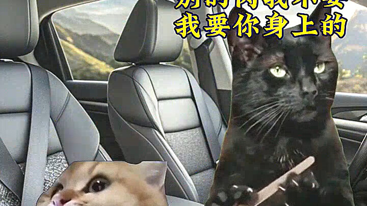 عندما تغضب زوجتي وتريد الطلاق