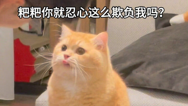 ฉันไม่ใช่เด็กน้อยที่ถูกคนอื่นรังแกเหมือนเมื่อห้าปีก่อนอีกต่อไปแล้ว!!!