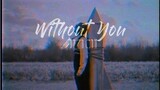 [Vietsub+Lyrics] Without You - Avicii, Sandro Cavazza