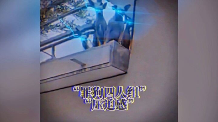 รางวัลพฤติกรรมผู้เล่นระดับสูง