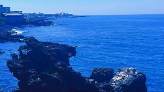 富有思维和贫穷思维的根本区别在于心态和行动。拥有富有思维的人通常具有更广阔的视野、更积极的心态和更强的社会责任感。他们相信通过努力和智慧可以创造更大的价值，并且愿意为此付出行动。