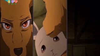 Cuộc sống không ăn thịt #Beastars #thegioinguoithu #reviewanime
