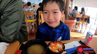 มาทะเลญี่ปุ่นแล้วต้องกิน!!!! | ซาชิมิ ไข่ปลา !!! Live in Japan 🇯🇵