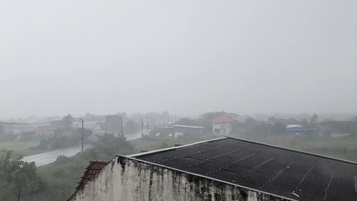 ฝนบางบัวทอง