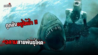 เมื่อต้องเอาชีวิตรอดจากฉลามสายพันธุ์โหด (สปอยหนัง) shark night