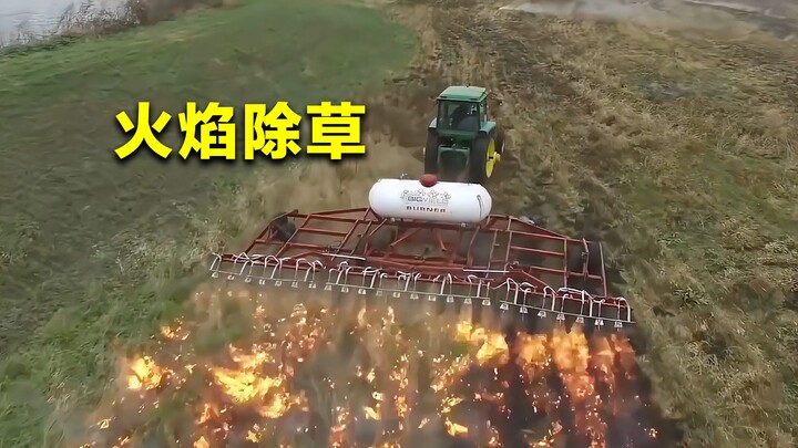 2000℃火焰除草？美国火焰除草机两天除草100亩地，我国能引进吗？