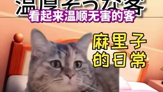 【熟肉】自带黄金的kuso客来送麻里子Apex的礼物（这位更是个重量级） | 猫meme