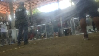 NEVER SAY DIE