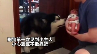 A dog's world is very small, and you are everything to it.