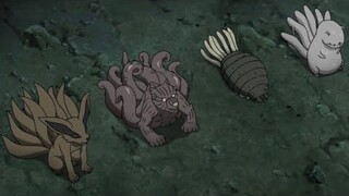 La Lucha entre Todos los Jinchurikis y Akatsuki - Killer Bee queda atrapado en el Tsukuyomi Infinito