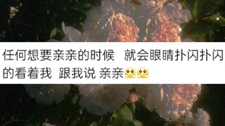 “甜甜的纯爱(´｡✪ω✪｡｀)”