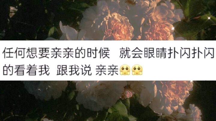 “甜甜的纯爱(´｡✪ω✪｡｀)”