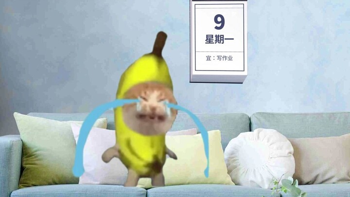 Banana Cat Realizes Tomorrow Is Still Monday