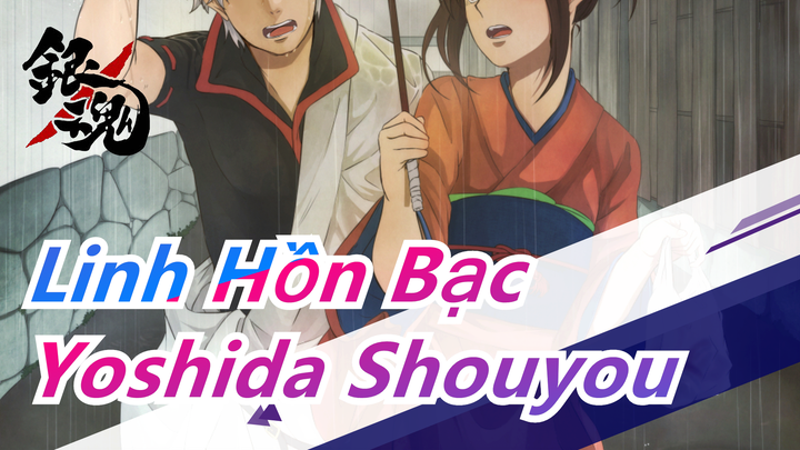 [Linh Hồn Bạc] Người hâm mộ của Yoshida Shouyou