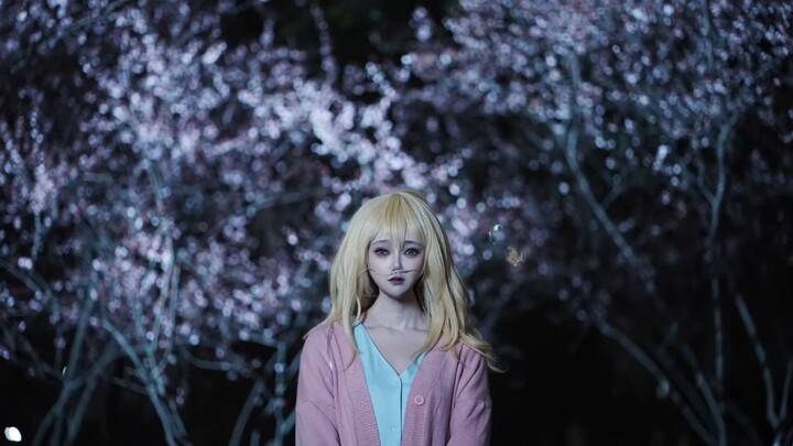 Cosplay cicak lagi😹