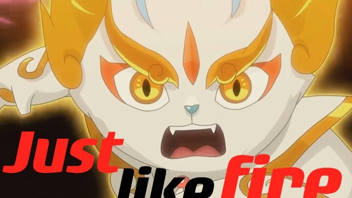 ⚡Berenergi tinggi, inilah Peking Opera Cat (2)⚡