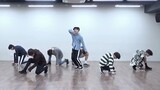 BTS Fake Love Mirrored Dance Practice
