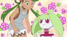 Pokemon sun and moon  episode 79 in english